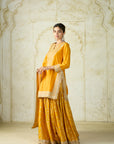 Ameena Sharara Set