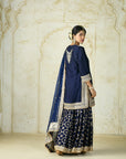 Ameena Sharara Set