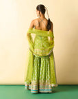 Dwisha Halter Sharara Set - Lime
