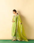 Dwiti Kurta Set - Lime