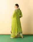Binita Pallazo Set - Lime
