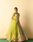 Shyama Lehenga Set - Lime Green