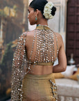 Mandira Lehenga Set
