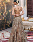 Titeeksha Lehenga Set