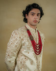 Butter Cream Sherwani