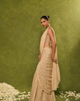 Aaliyah Saree