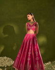Ambi Brocade Lehenga