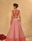 Mina Daman Lehenga