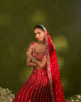 Anandi Lehenga