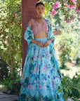 Moonlight Lehenga