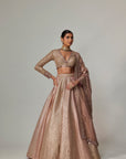 Deep Beige Multicolor Skirt With V Neck Full Sleeve Blouse