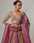 Mud Mauve Multicolor Lehenga With Elbow Sleeve Blouse