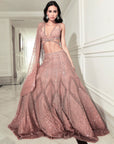 Azura Lehenga Set - Ready to Ship