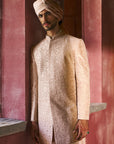 Ivaar Sherwani