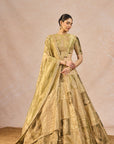 Khwabon Ki Shehzadi Lehenga