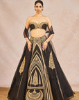 Aankhon Ka Paigam Lehenga