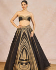 Aankhon Ka Paigam Lehenga