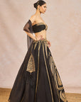 Aankhon Ka Paigam Lehenga