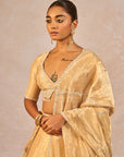 Chandni Lehenga