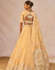 Chandni Lehenga