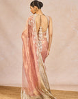 Chandni Saree