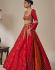 'Rango Sa Jahan' Lehenga in Red