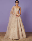 Mayura Lehenga Set
