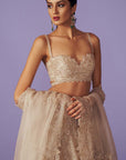 Mayura Lehenga Set