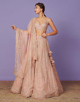 Inara Lehenga Set
