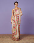 Multi Thread Work Saree Set