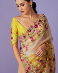 Multi Thread Work Saree Set