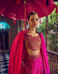 Rani Sa Sharara Set - Pink