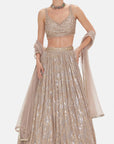 The Muted Champagne Lehenga - Ready to Ship