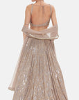The Muted Champagne Lehenga - Ready to Ship