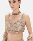 The Muted Champagne Lehenga - Ready to Ship