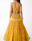 The Amber Radiance Lehenga Set - Ready to Ship