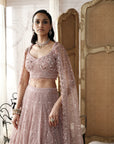 Champagne Blush Embroidered Lehenga Set