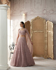 Champagne Blush Embroidered Lehenga Set