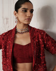 Crimson Revierie Embroidered Lehenga Set
