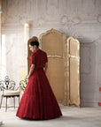 Crimson Revierie Embroidered Lehenga Set