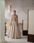 Champagne Opal Embroidered Lehenga Set
