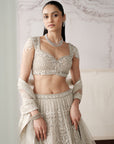 Platinum Eclat Embroidered Lehenga Set