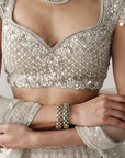 Platinum Eclat Embroidered Lehenga Set