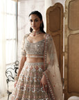 Champagne Mosaic Embroidered Lehenga Set