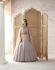 Blush Elysee Embroidered Lehenga Set