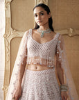 Blush Elysee Embroidered Lehenga Set