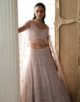 Blush Elysee Embroidered Lehenga Set