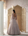 Blush Elysee Embroidered Lehenga Set