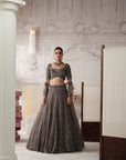 Graphite Etoile Embroidered Lehenga Set