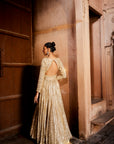 Misbah Anarkali